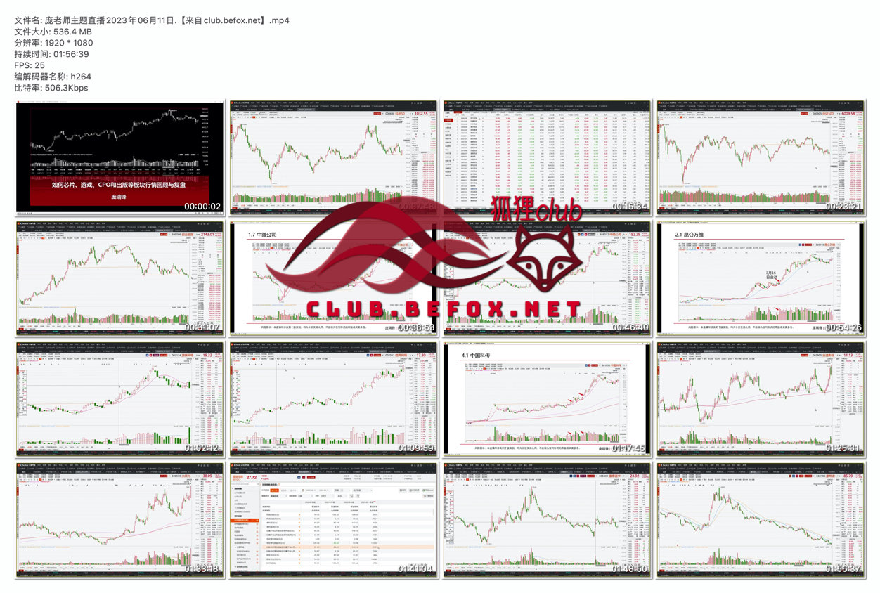 庞老师主题直播2023年06月11日.【来自club.befox.net】
